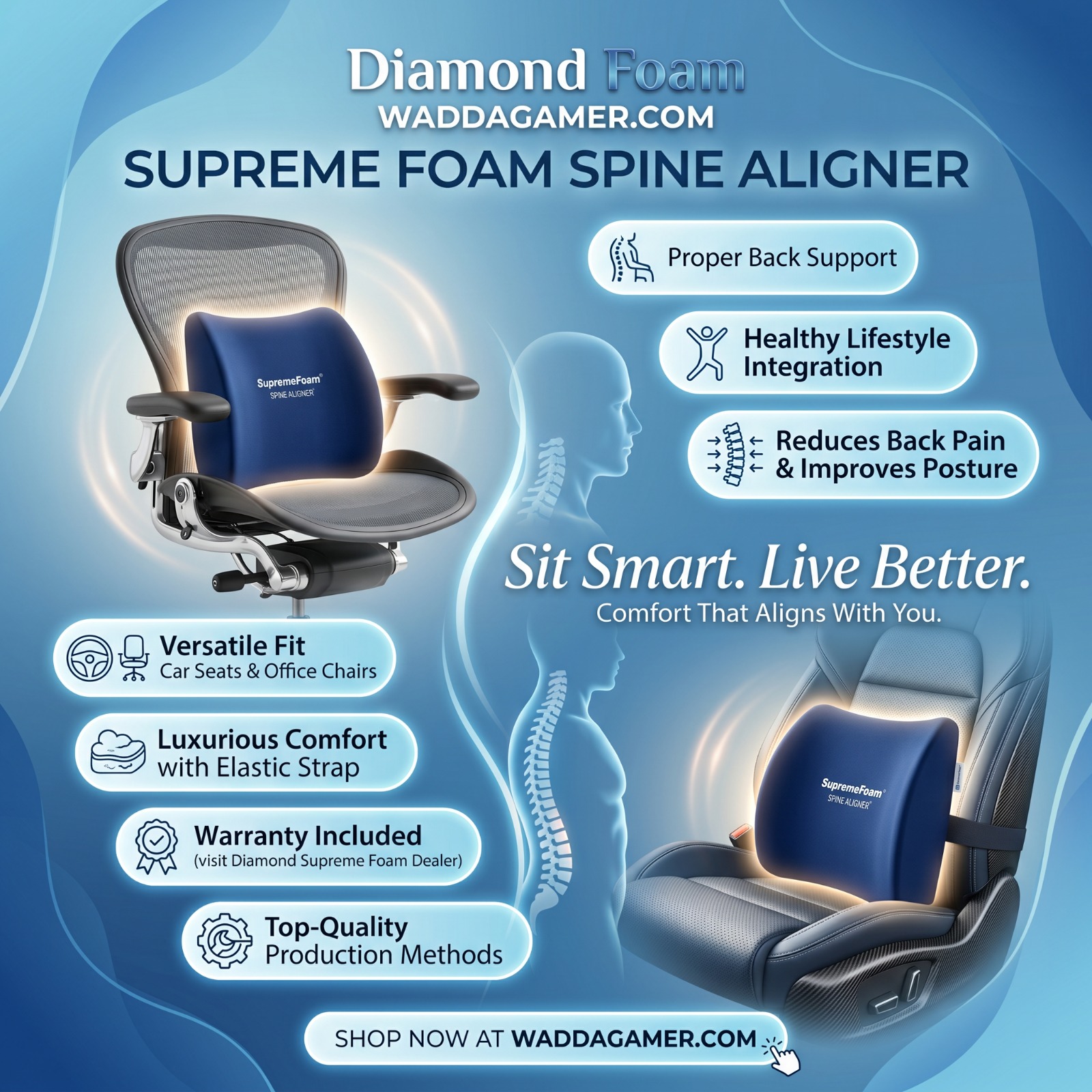 Supreme Ergonomic Back Support Cushion