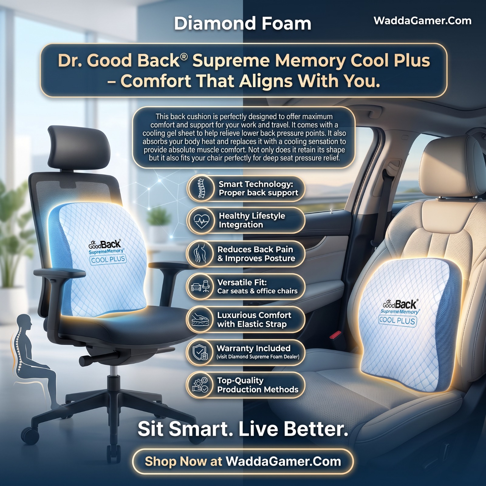 Dr. Good Back Cooling Orthopedic Cushion